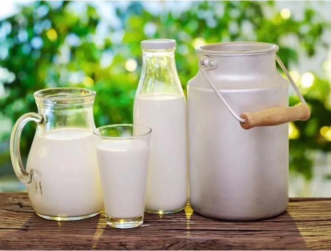 乳制品中的致病菌有哪些？如何解決致病菌超標？(圖3)